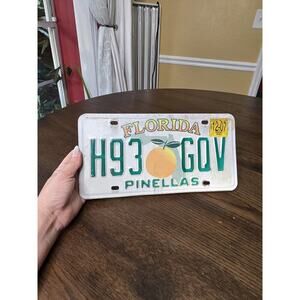 Florida PINELLAS‎ County 2007 License Plate H93GQV Sunshine State